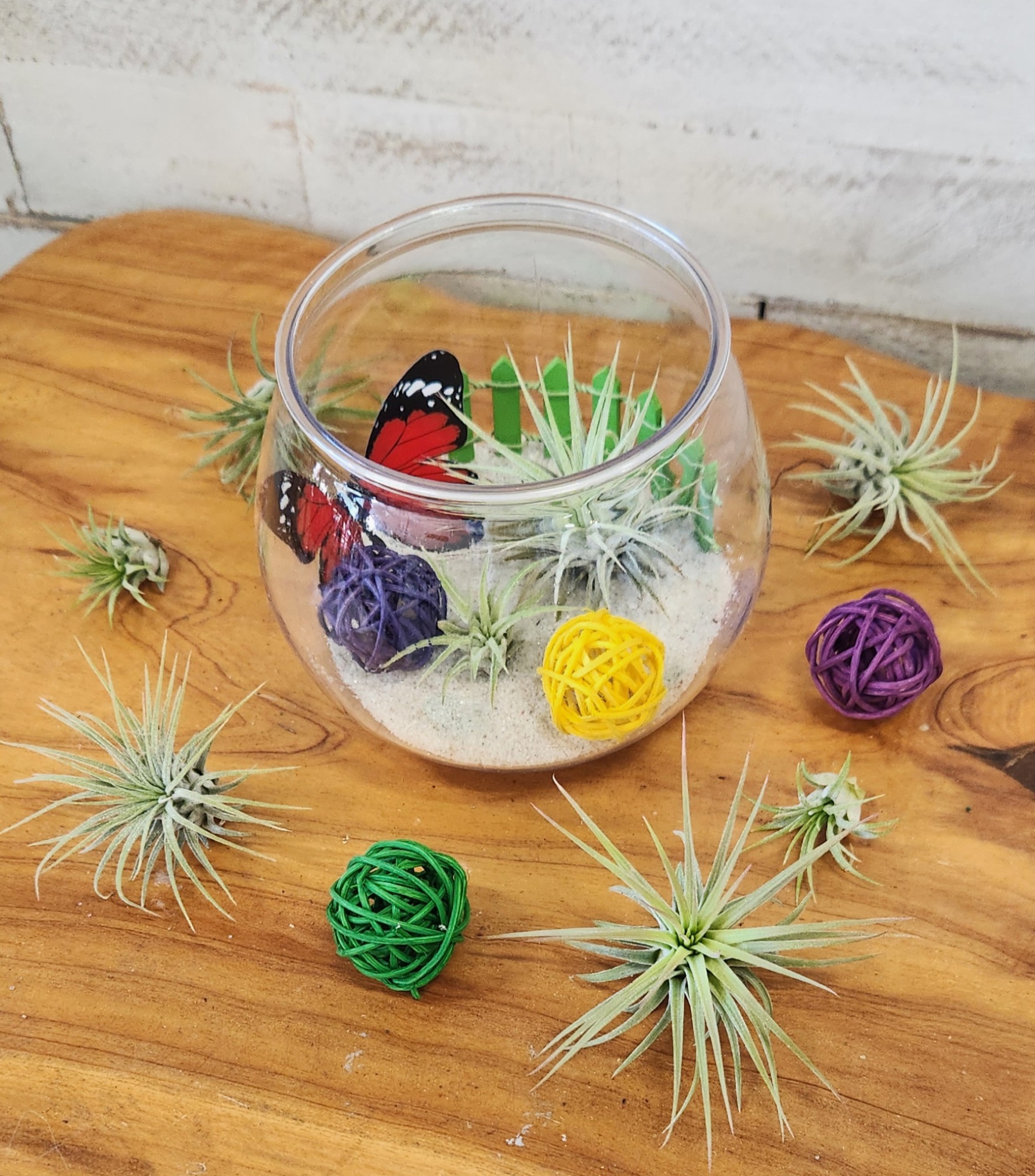 Butterfly and Me, a glass bowl terrarium with butterflies, air plants, and rattan balls