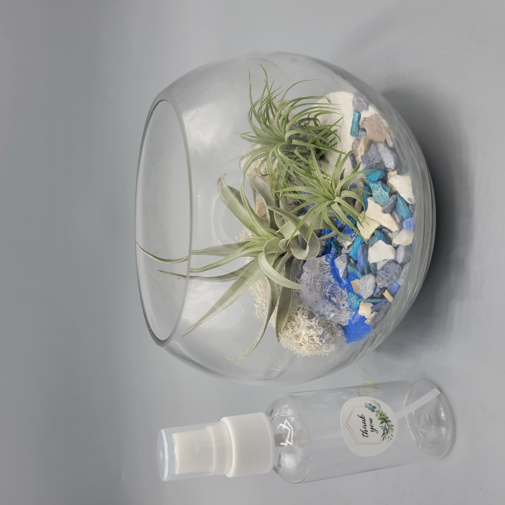 Sapphire Sea, a small round terrarium with blue stones, white sand, and air plants